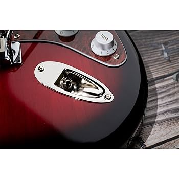 DMC ジャックプレート　プレーン Amazon | MAXCHEER ギター入力ジャックソケットプレート出力